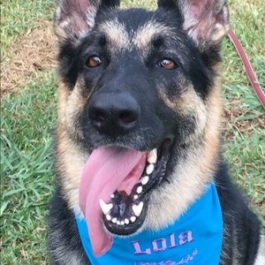 Meet your Posher, Tiffany